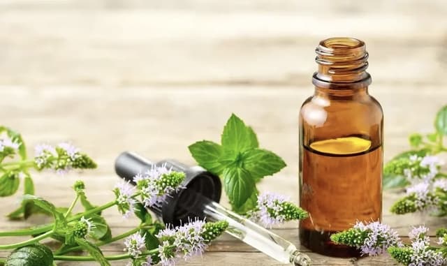 درمان طبیعی فشار خون با روغن نعنا