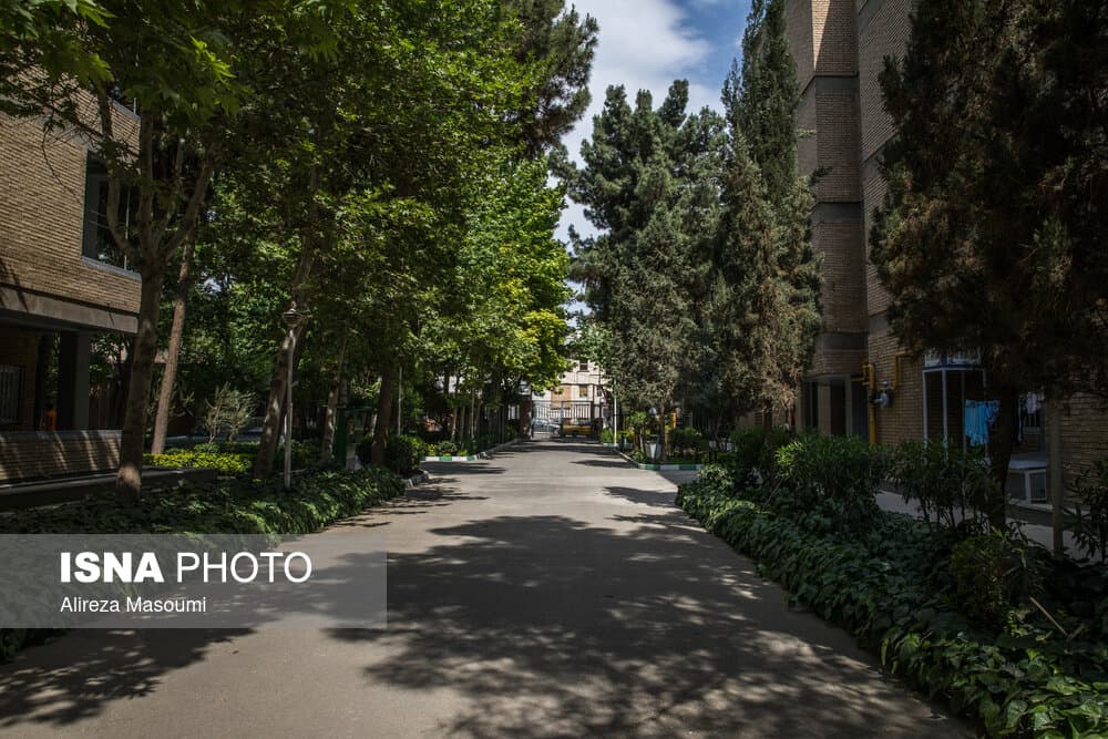 آغاز طرح «خوابگاه دوستدار محیط زیست»