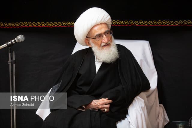 آیت‌الله نوری همدانی: از هرگونه اقدامی که موجب تضعیف انسجام ملی است، پرهیز شود