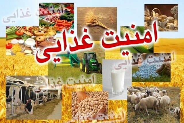 خودکفایی در امنیت غذایی باید با پایداری همراه باشد