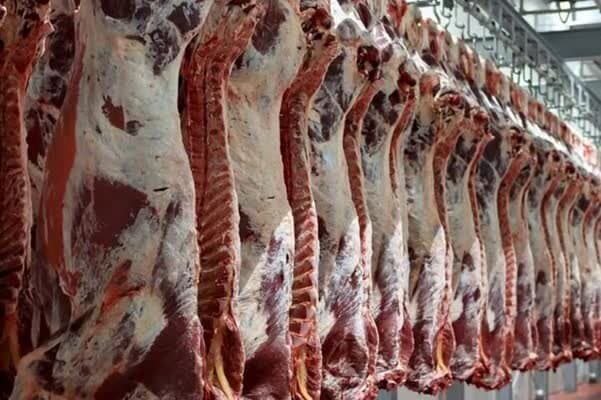 گزارش میدانی ایسنا از بازار گوشت/ قیمت از میادین تا فروشگاه‌ها چه تفاوتی دارد؟