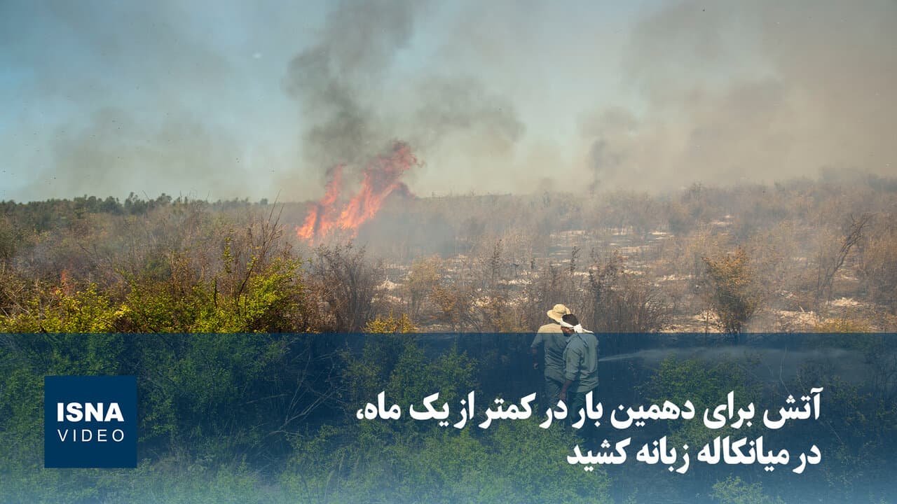 ویدیو/ آتش برای دهمین بار در کمتر از یک ماه، در میانکاله زبانه کشید