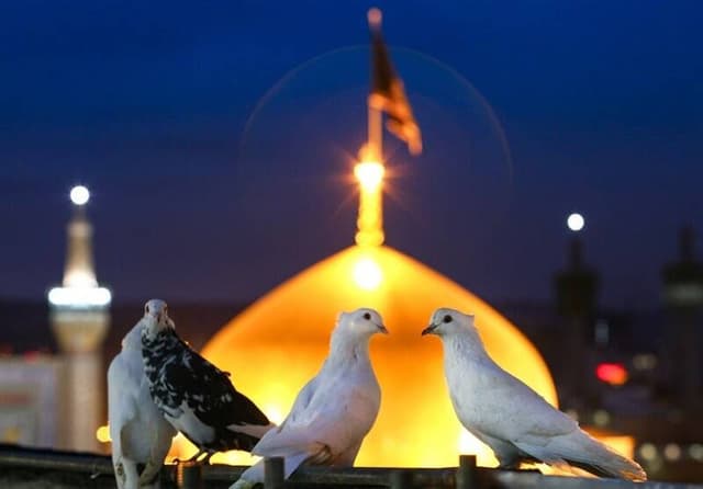 مشهدالرضا (ع) معبر نجات‌بخش ایران