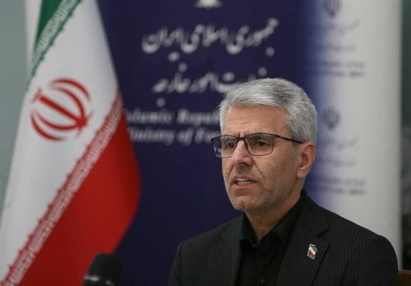 بقائی: از حدود 100 کشور میهمانانی برای مراسم وداع با رهبر شهید داریم