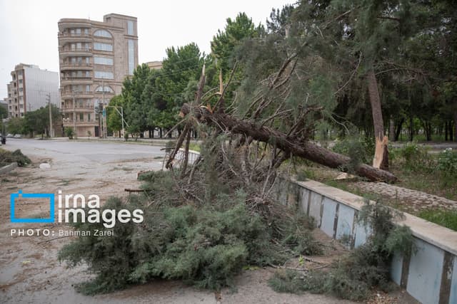 ادامه بارش‌ها و وزش باد شدید در نوار شمالی کشور