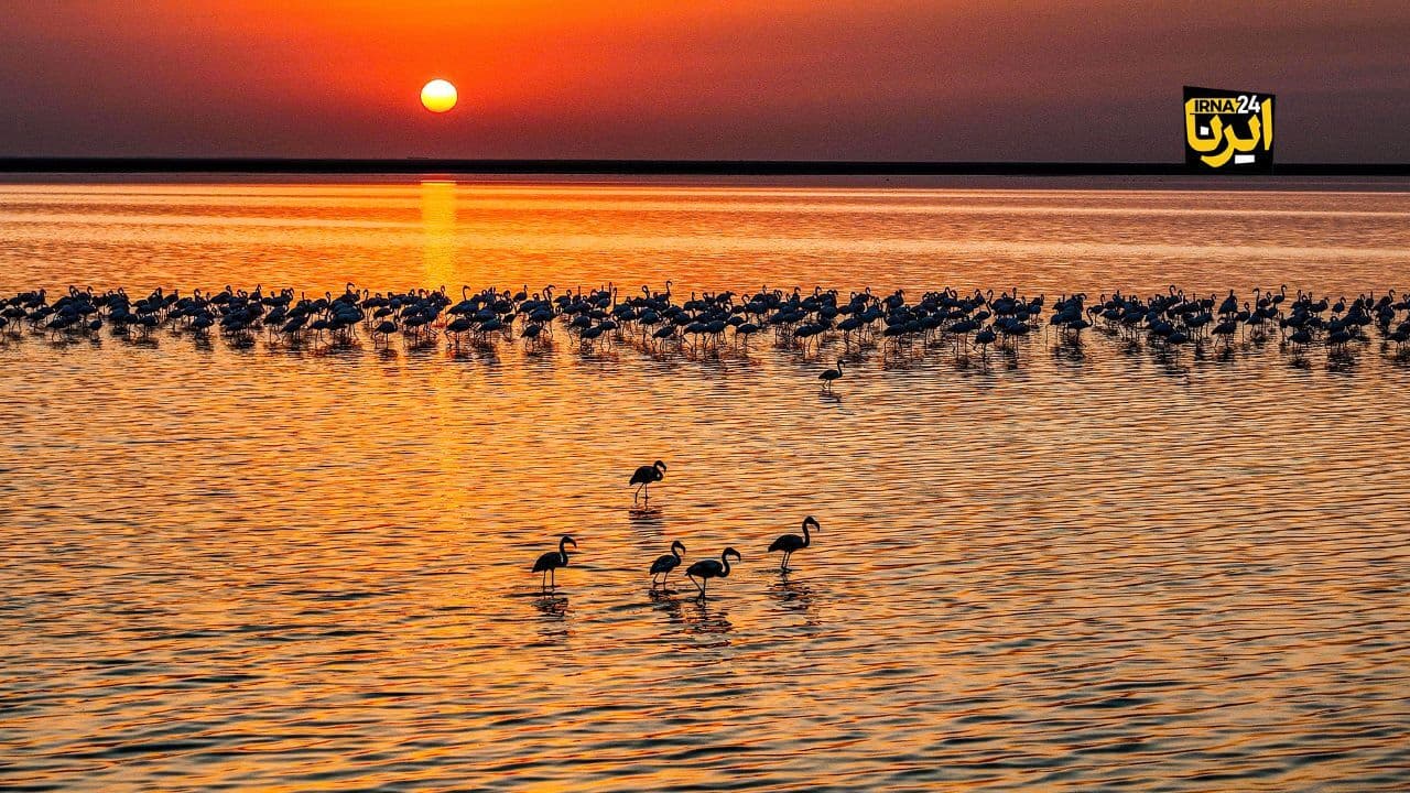 آیا دریای خزر ناپدید خواهد شد؟