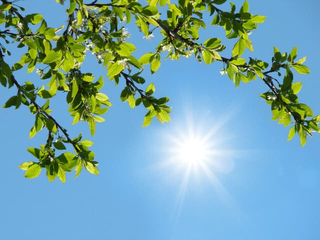 آسمان صاف در اکثر مناطق کشور 