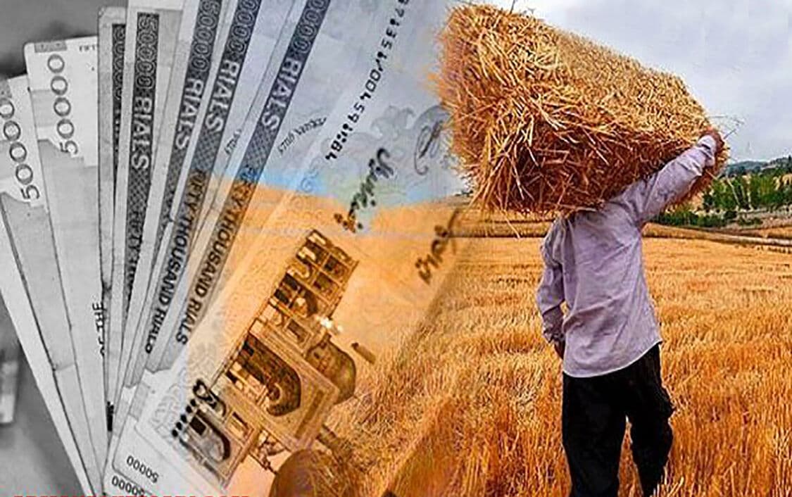 ۱۲.۲ همت به حساب کشاورزان واریز شد/ مجموع واریزیها، ۶۲.۳ همت