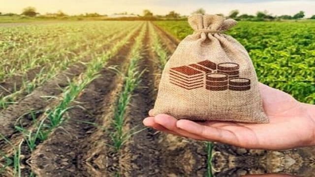 افزایش توان تعاونی‌ها با کمک صندوق حمایت از توسعه سرمایه‌گذاری کشاورزی