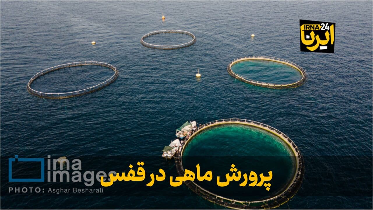 کرمانشاه ظرفیت تبدیل به یکی از قطب‌های پرورش ماهیان خاویاری را دارد
