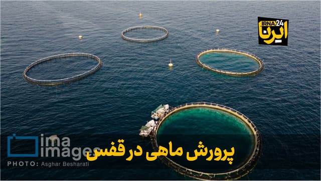 کرمانشاه ظرفیت تبدیل به یکی از قطب‌های پرورش ماهیان خاویاری را دارد