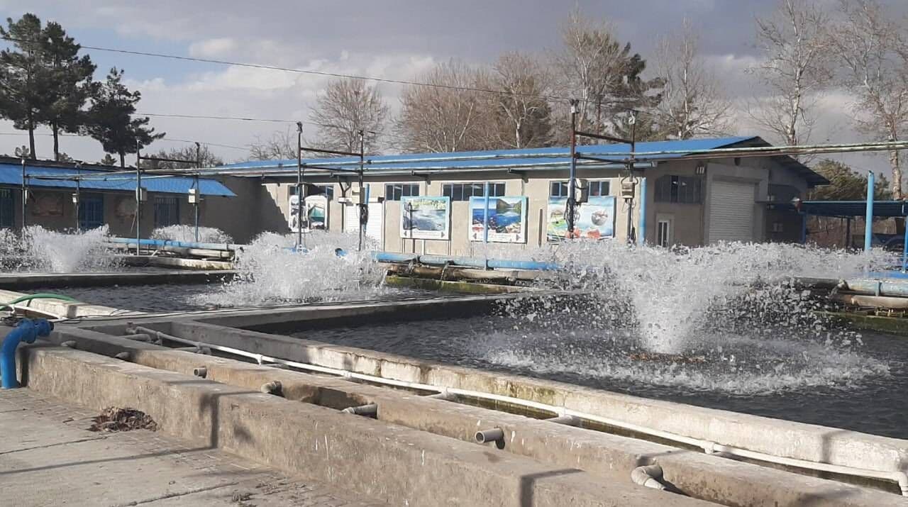 مدیرکل شیلات کرمانشاه خواستار کمک به توسعه آبزی‌پروری در استان شد