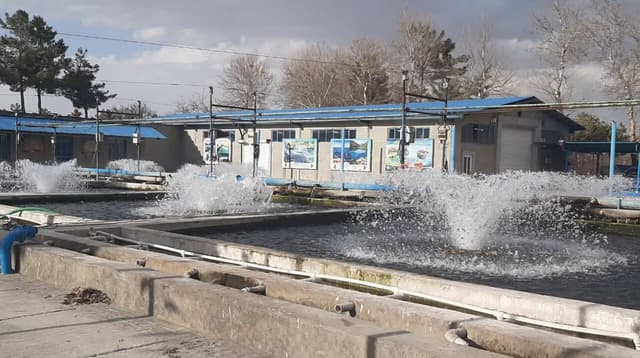 مدیرکل شیلات کرمانشاه خواستار کمک به توسعه آبزی‌پروری در استان شد