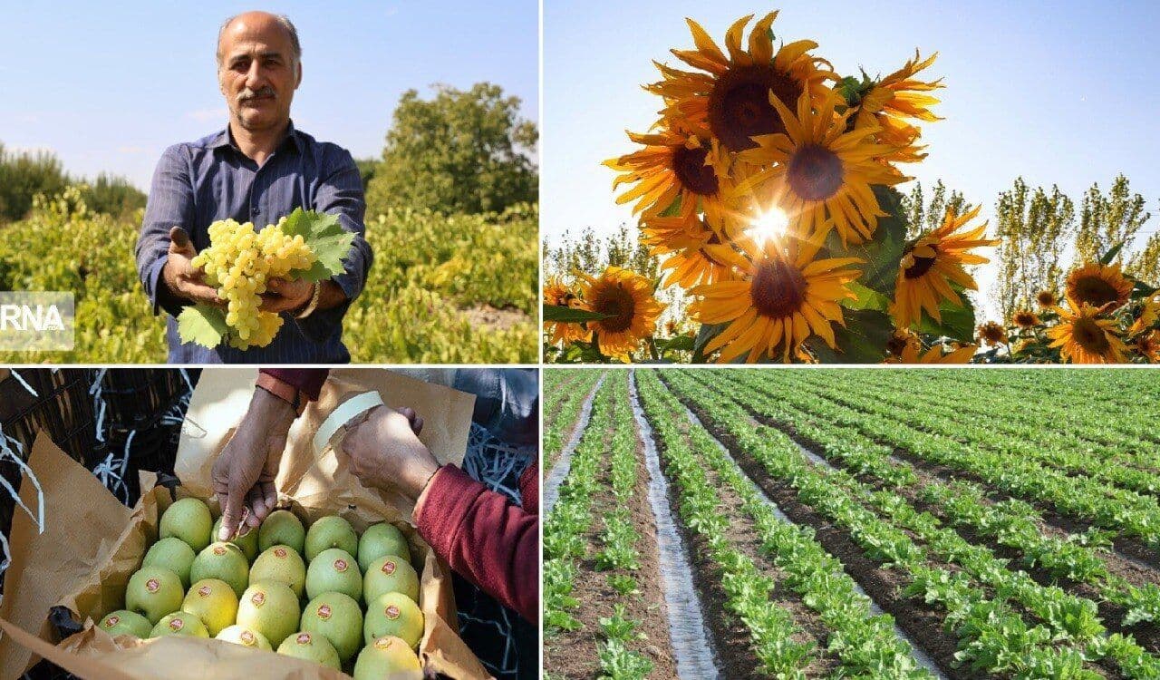 حوزه کشاورزی بخشی مظلوم ولی مقتدر در تامین نیازهای مردم است