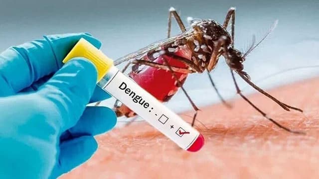 طراحی کیت ایرانی تشخیص همزمان سروتیپ‌های چهارگانه ویروس تب دنگی 