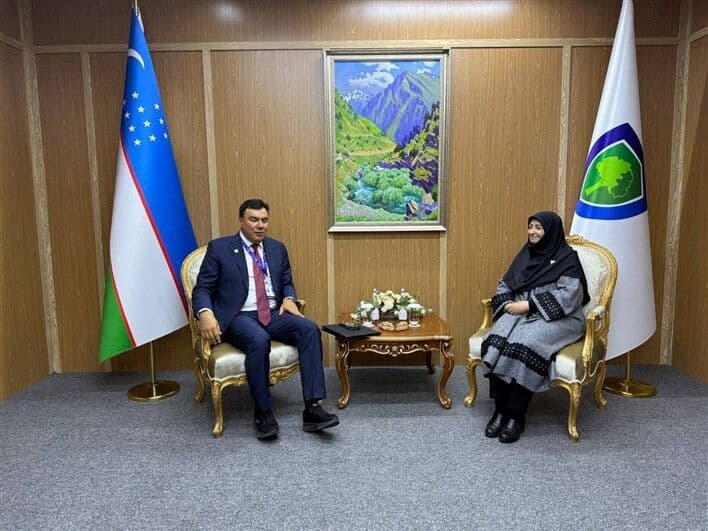 گفتگوی ایران و ازبکستان برای ایجاد سامانه هشدار گردوغبار