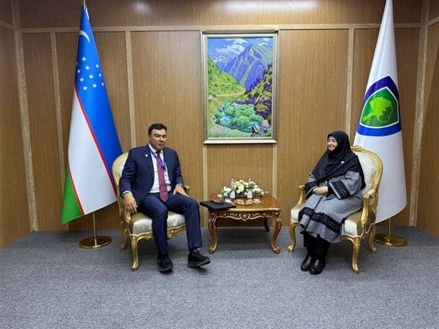 گفتگوی ایران و ازبکستان برای ایجاد سامانه هشدار گردوغبار
