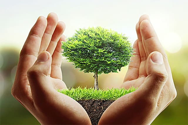 پژوهش پشتوانه علمی تصمیم‌گیری‌ها/بهره‌گیری ازظرفیت‌ دانشگاه‌ها راه‌حل‌ چالش‌های محیط‌زیستی