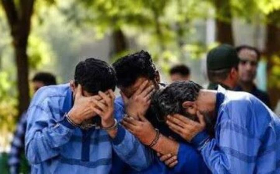 برادران باند «سندنمره» دستگیر شدند