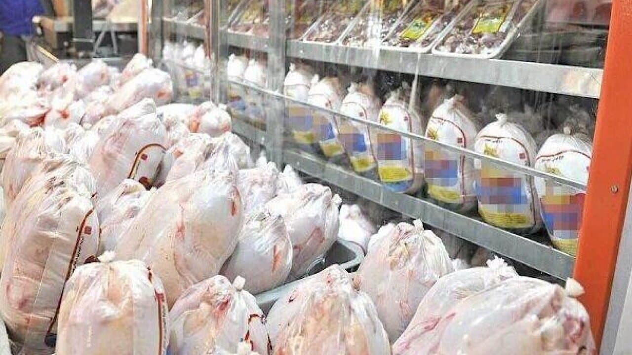قیمت مرغ امروز چهارشنبه ۲۷ خرداد ۱۴۰۵/ گوشت ران چقدر شد؟ +جدول