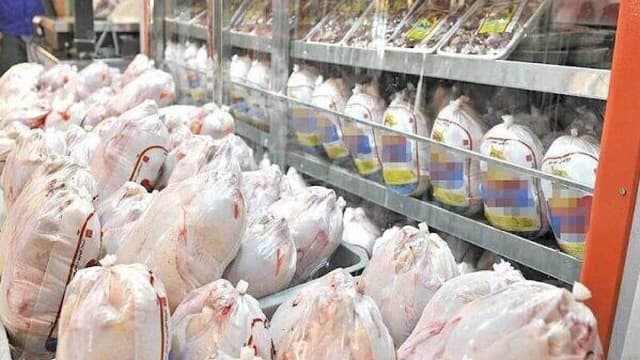 قیمت مرغ امروز چهارشنبه ۲۷ خرداد ۱۴۰۵/ گوشت ران چقدر شد؟ +جدول