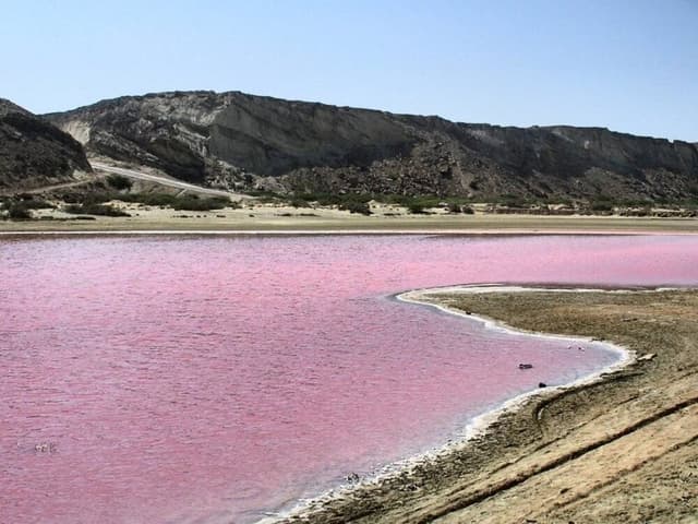 این تالاب مشهور ایران ۵ ماه از سال صورتی است!