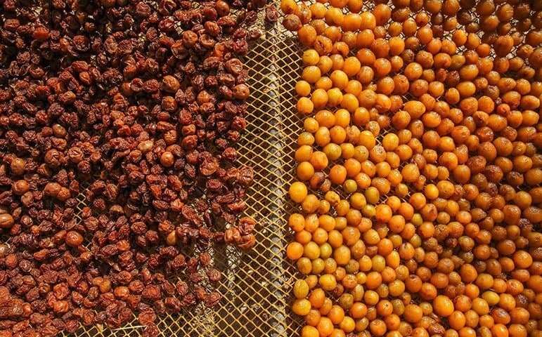 چگونه از یبوست جلوگیری کنیم؟