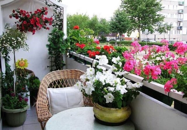 ۶ گیاهی که اصلا نباید بخرید!