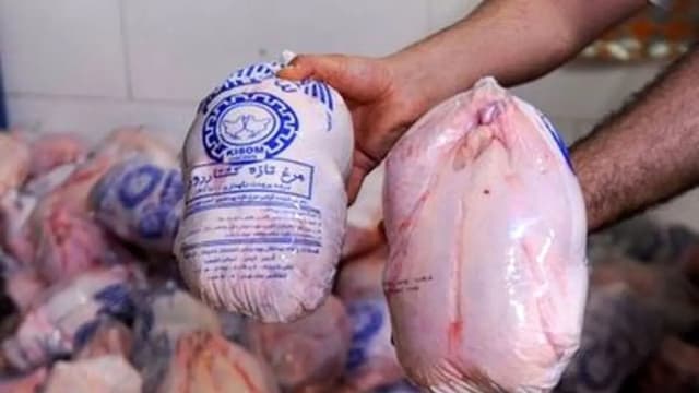 توزیع مرغ منجمد در سراسر کشور/ جزییات اعلام شد