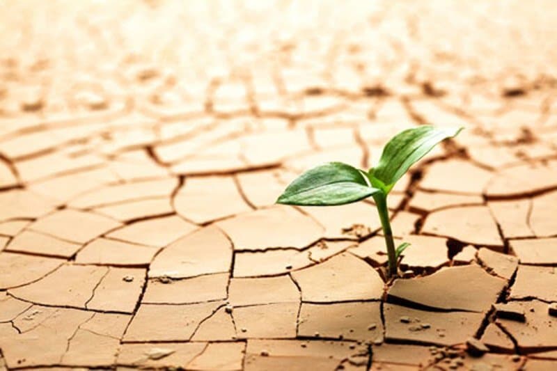 بیابان‌زایی تهدیدی برای امنیت غذایی و منابع آب کشور است
