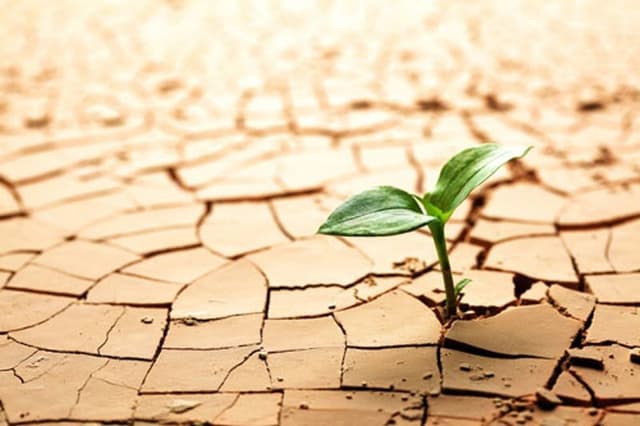 بیابان‌زایی تهدیدی برای امنیت غذایی و منابع آب کشور است