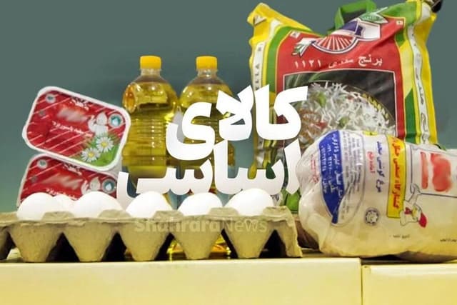کشف بیش از ۹۹۰ تن انواع کالاهای اساسی در تهران