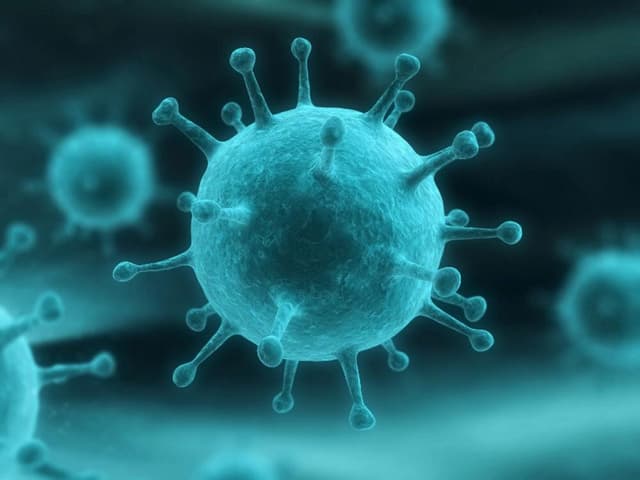 سرایت هانتاویروس چگونه است؟