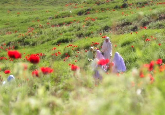 الگوی دینیِ حضور زن در جامعه؛ نه انزوا، نه بی‌مرزی