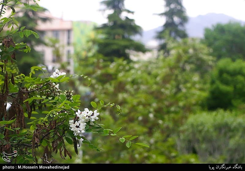 50 روز هوای قابل‌قبول در تهران