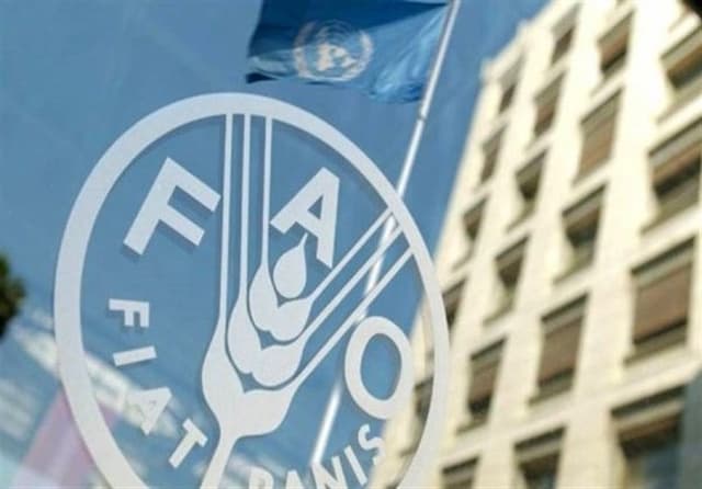 فائو: قیمت جهانی غذا برای سومین ماه متوالی بالا رفت
