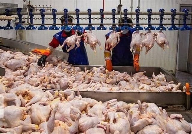 کاهش تشریفات اداری دامپزشکی برای تسهیل واردات گوشت و مرغ