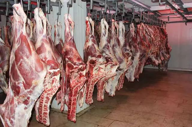 قیمت گوشت قرمز امروز 28 اردیبهشت 1405 + جدول