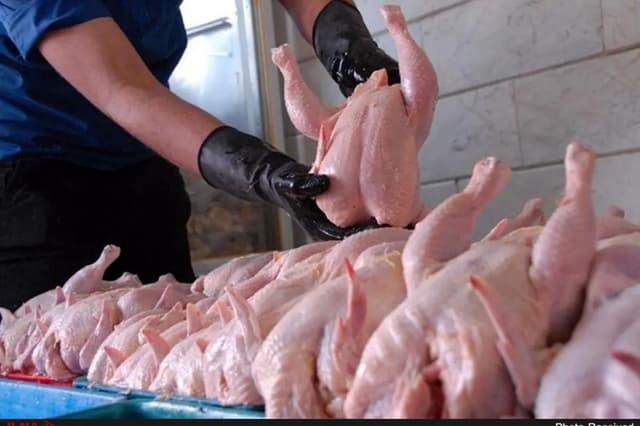 قیمت مرغ در میادین میوه و تره‌بار  چند؟