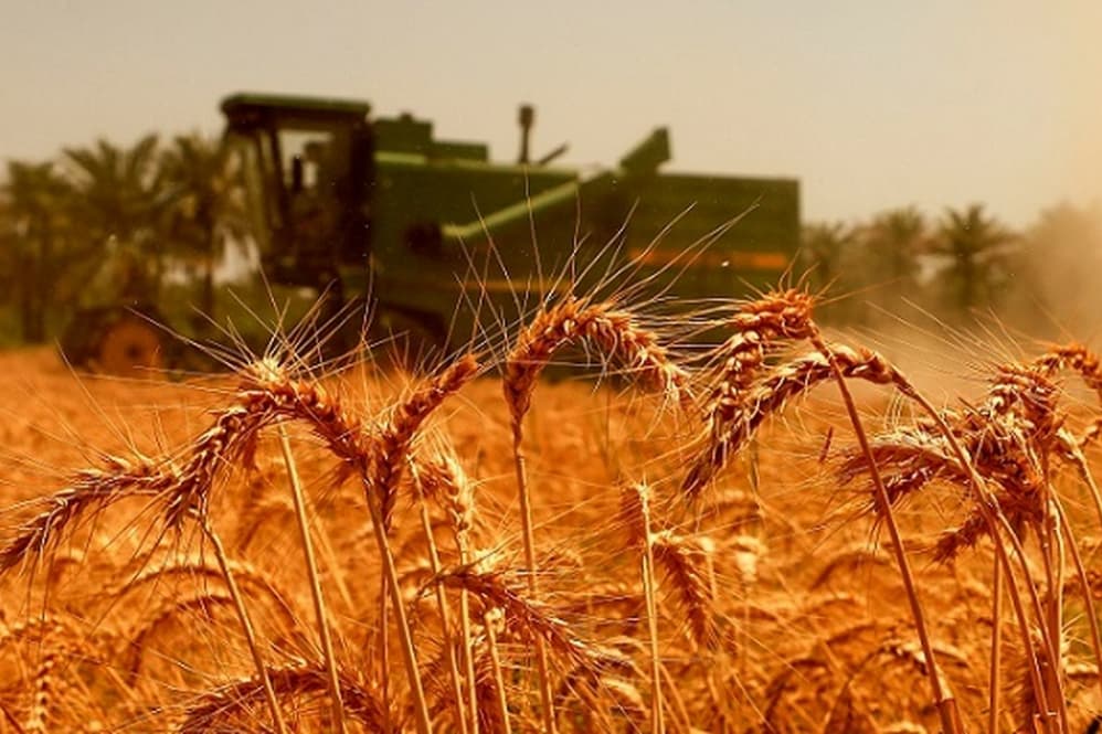 افزایش قیمت جهانی غذا به بالاترین سطح از 2023 رسید