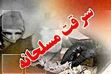 راز سرقت مسلحانه در بهارستان فاش شد/ نگهبان تبعه خارجی، طراح اصلی دزدی میلیونی از خانه ساکنان!