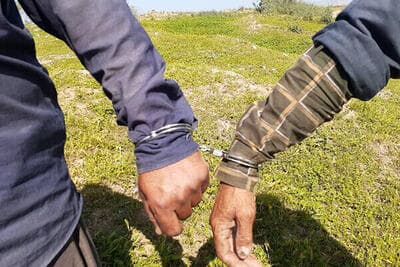 افزایش محسوس برخورد با تخلفات زیست‌محیطی در کردستان؛ دستگیری ۴۵۴ متخلف