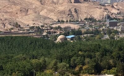 افزایش مساحت جنگل دست‌ کاشت کرمانی‌ ها
