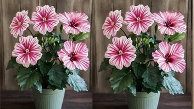 چگونه از کیسه پلاستیکی گل زیبا بسازیم 