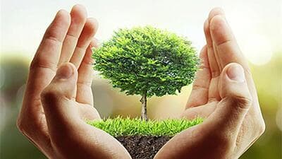 ایجاد ۴۴ خانه محیط زیست در زنجان/ گله‌مندی از فقدان کارکرد آنها