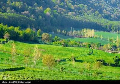 تولد  مرکز تخصصی هیرکانی  در قلب چالوس 