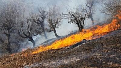 آتش سوزی در تالاب قره قشلاق بناب مهار شد