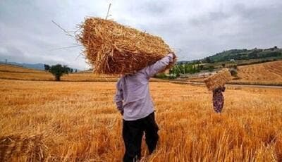 ثبت پنج هزار و ۵۰۰ بهره‌بردار فارس در طرح ملی شناسنامه‌دار شدن محصولات کشاورزی
