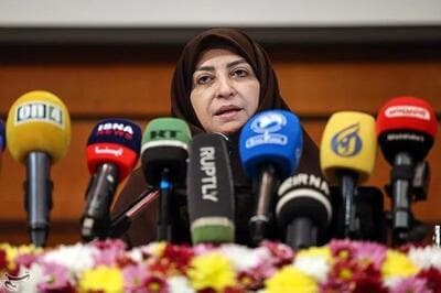 شینا انصاری به سازمان ملل نامه نوشت