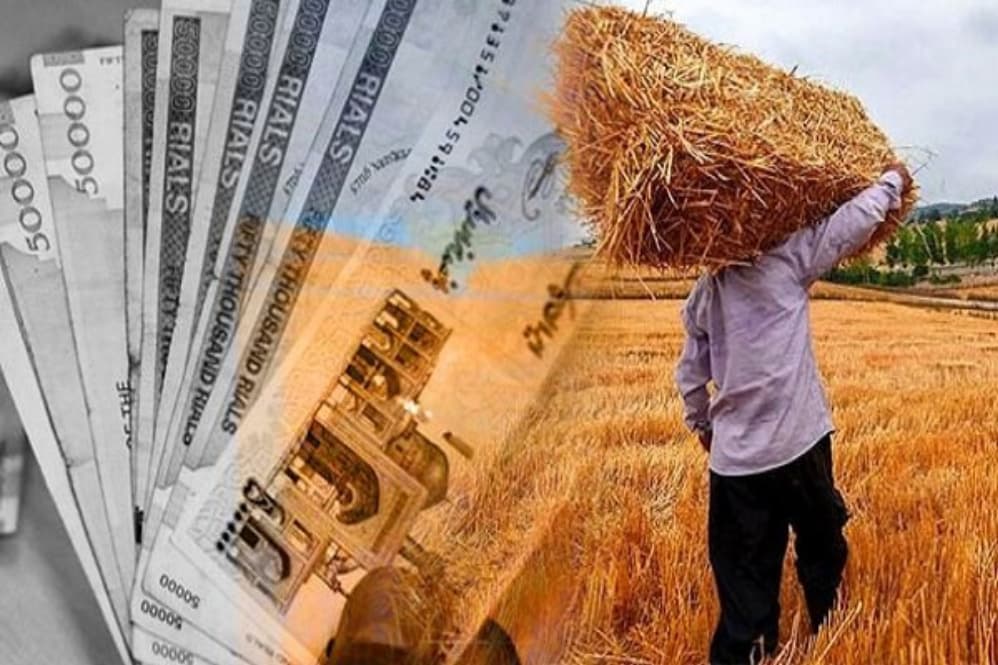 پرداخت مطالبات گندمکاران به 16 همت رسيد